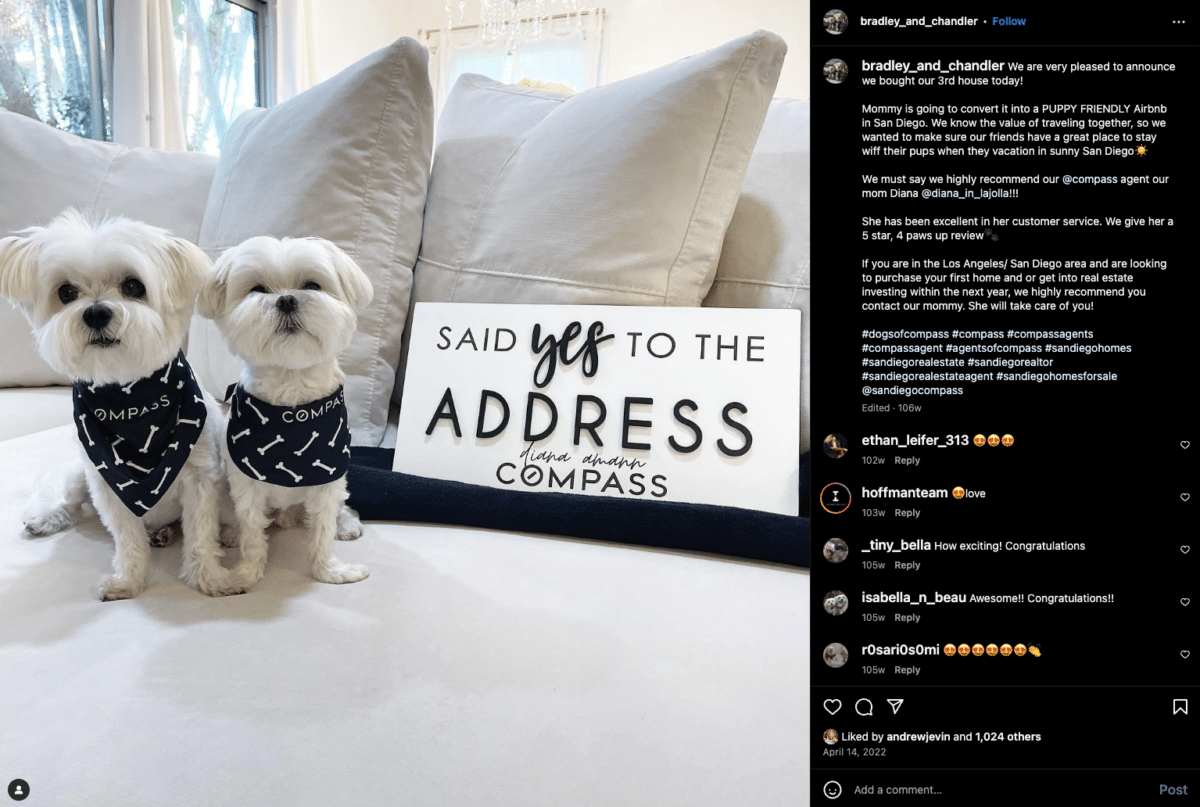 Screenshot of an Instagram post with two small whit dogs wearing black handkerchiefs around their necks that read Compass. They're sitting on a white sofa next to a sign that says "Said yes to the Address. Diana Amann. Compass."